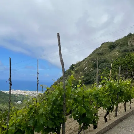 Villa Dei Barili - Natura&relax Ischia